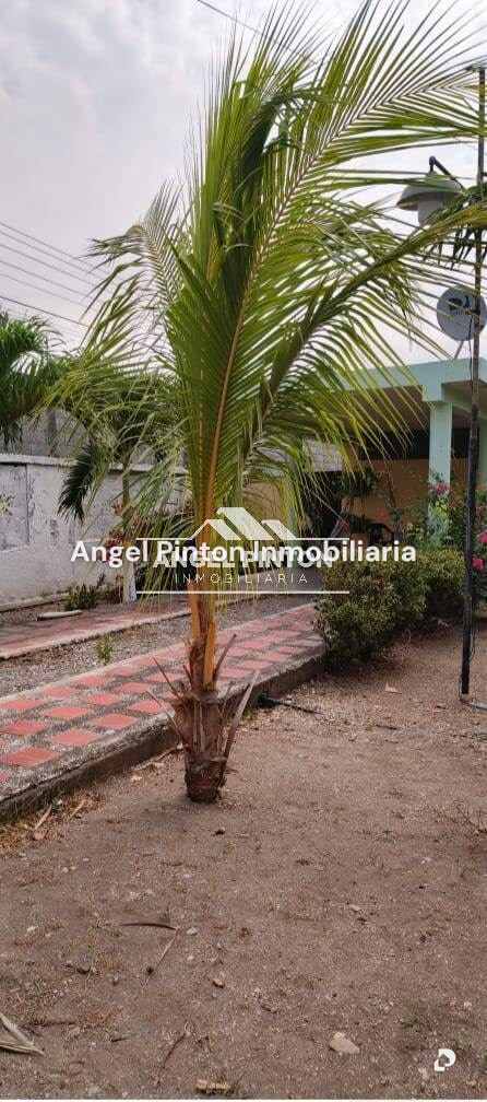 Local comercial en Fundación Mendoza, Acarigua – 7