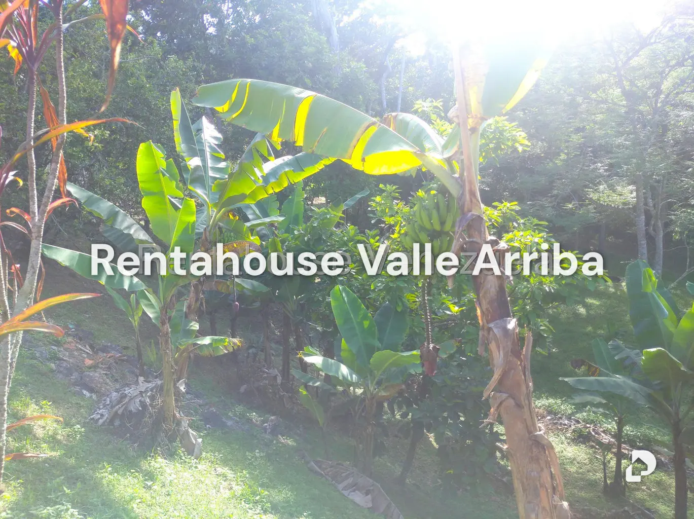 Casa en Parcelamiento Cortada del guayabo, Guaicaipuro – 29