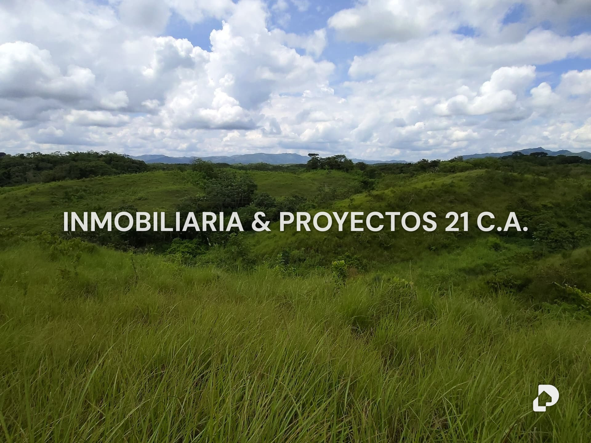 Finca en Los Monos – 8