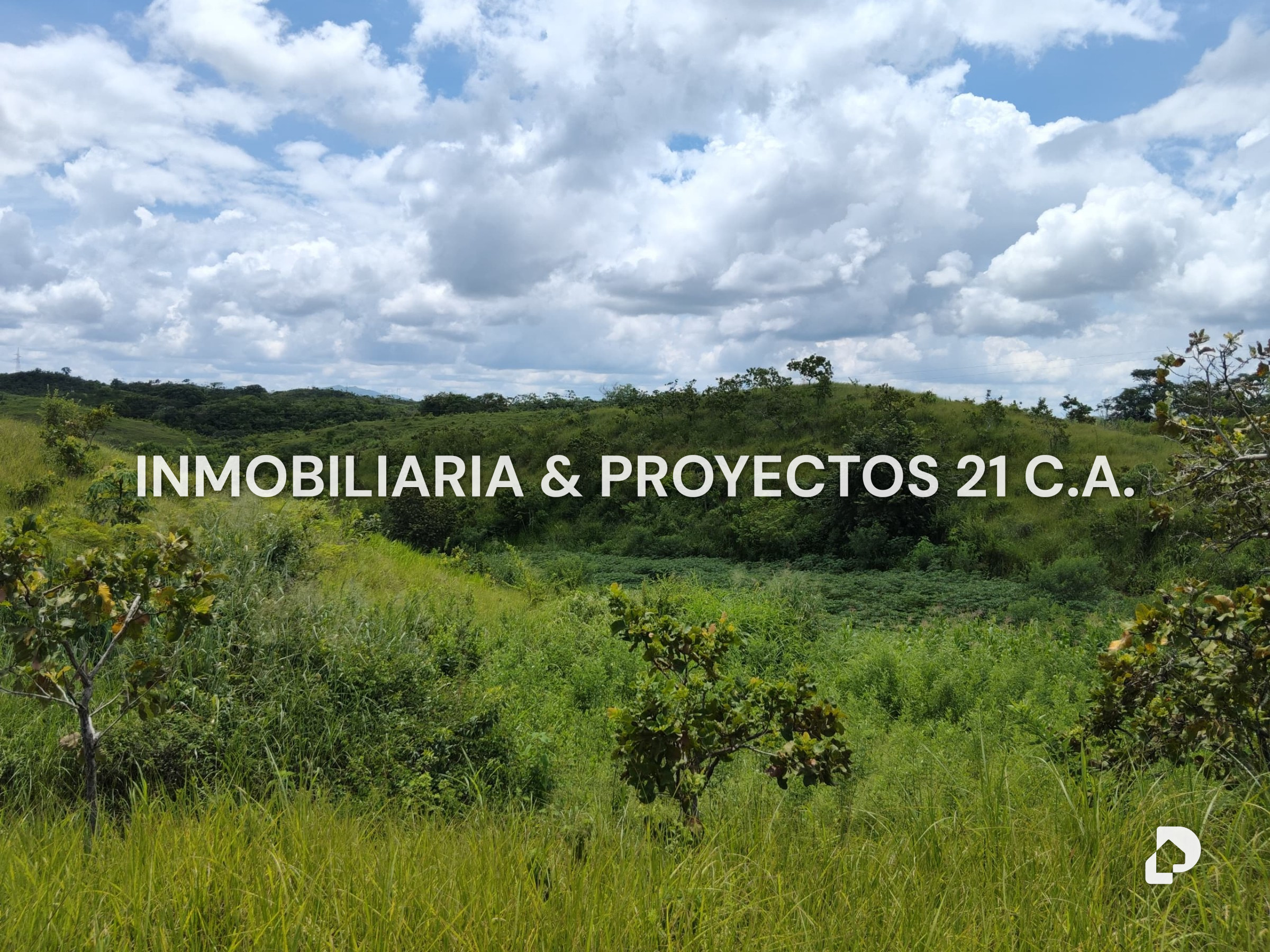 Finca en Los Monos – 9