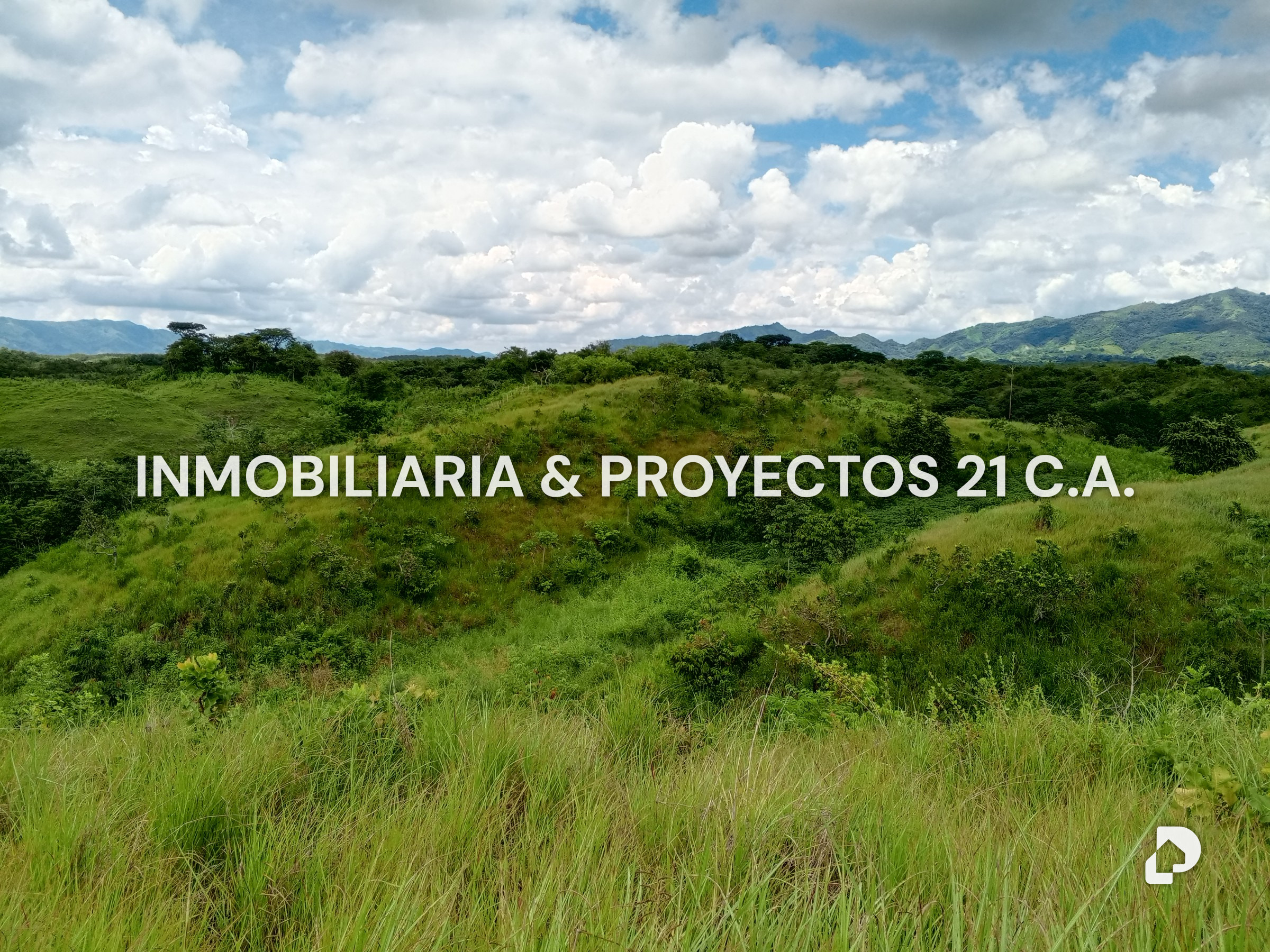 Finca en Los Monos – 3