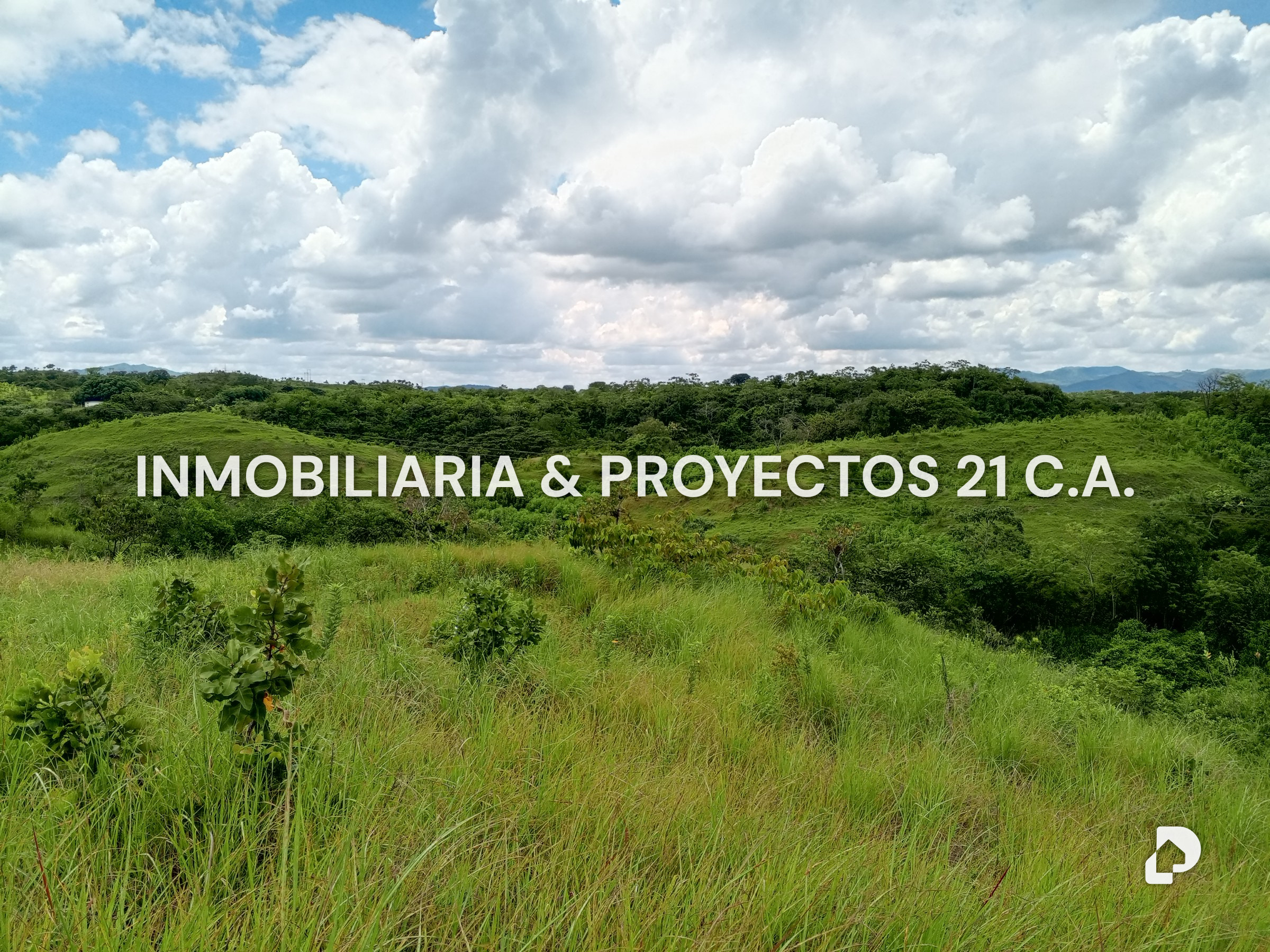 Finca en Los Monos – 5