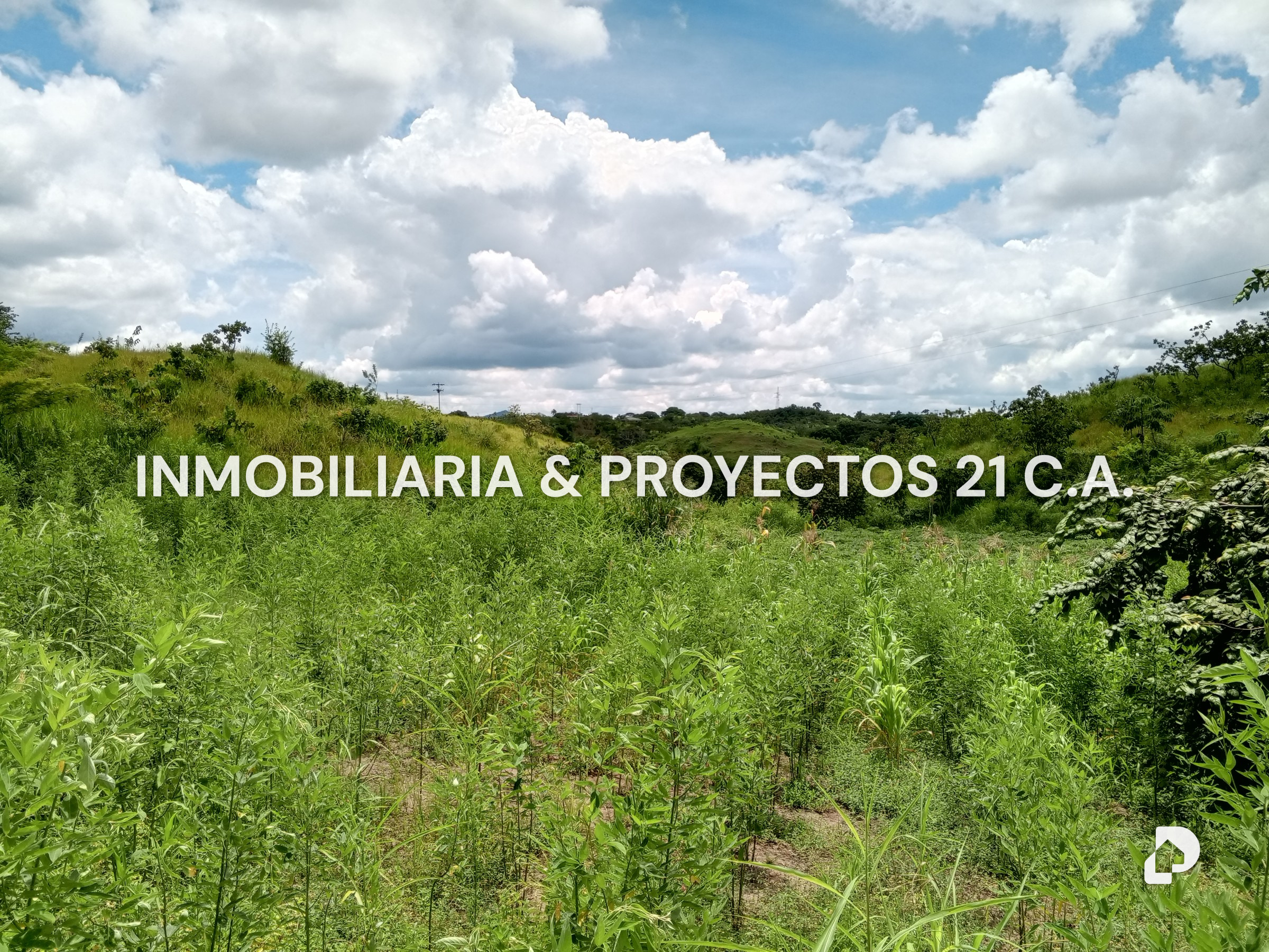 Finca en Los Monos – 2