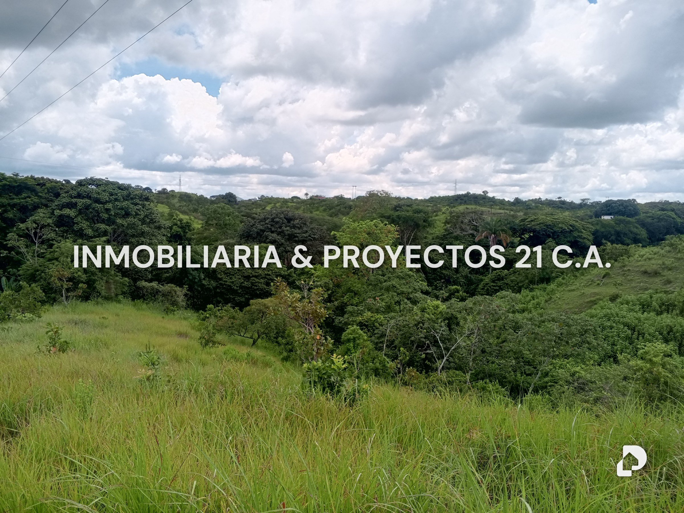 Finca en Los Monos – 7