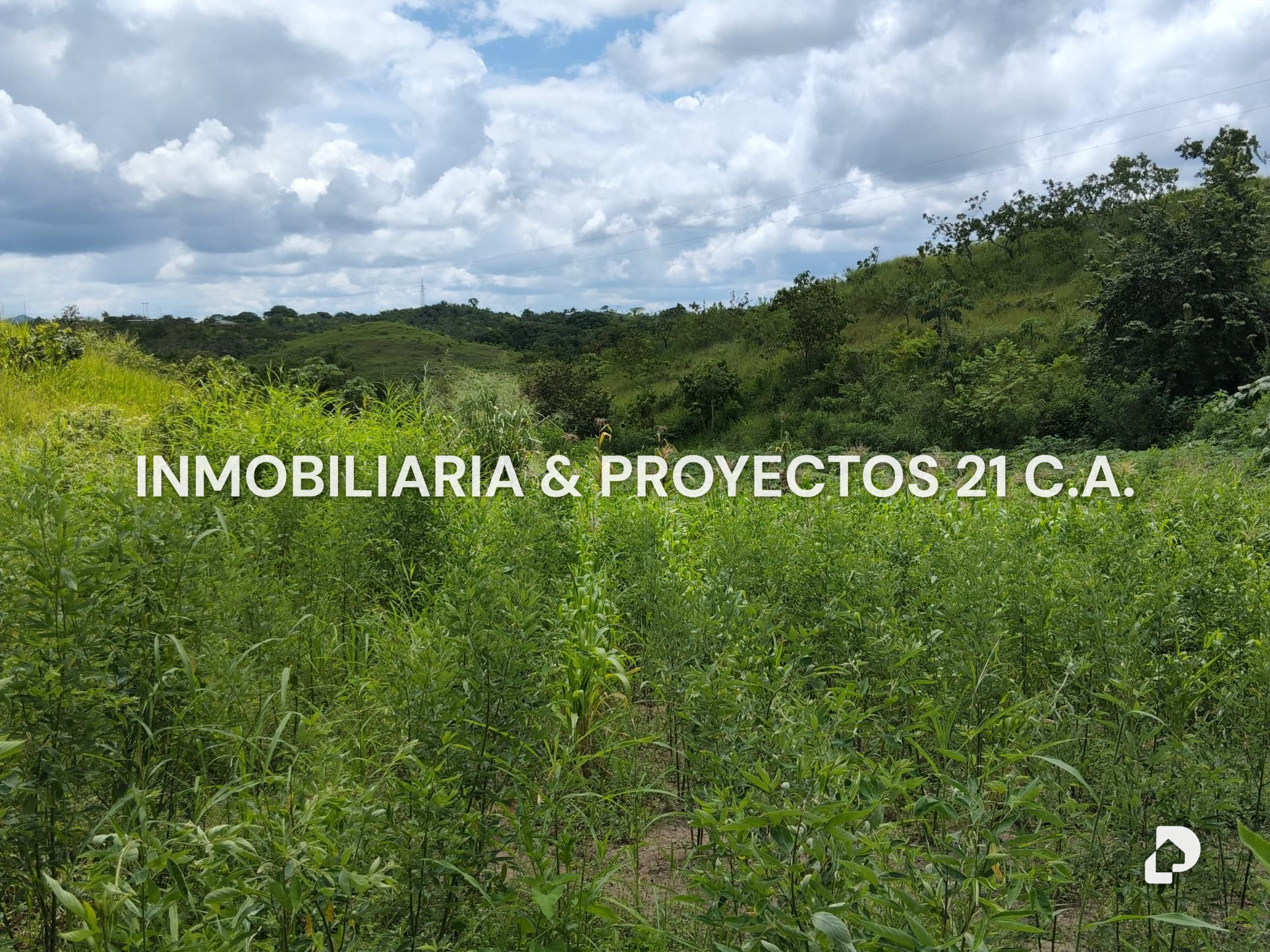 Finca en Los Monos – 10