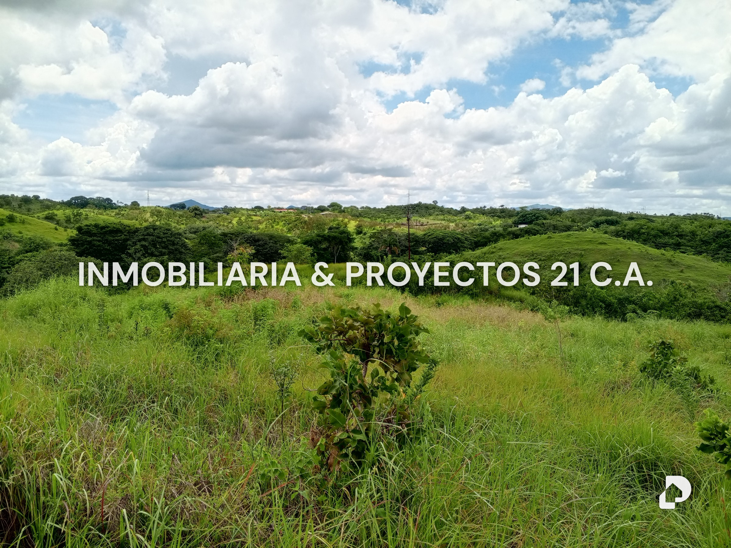 Finca en Los Monos – 6