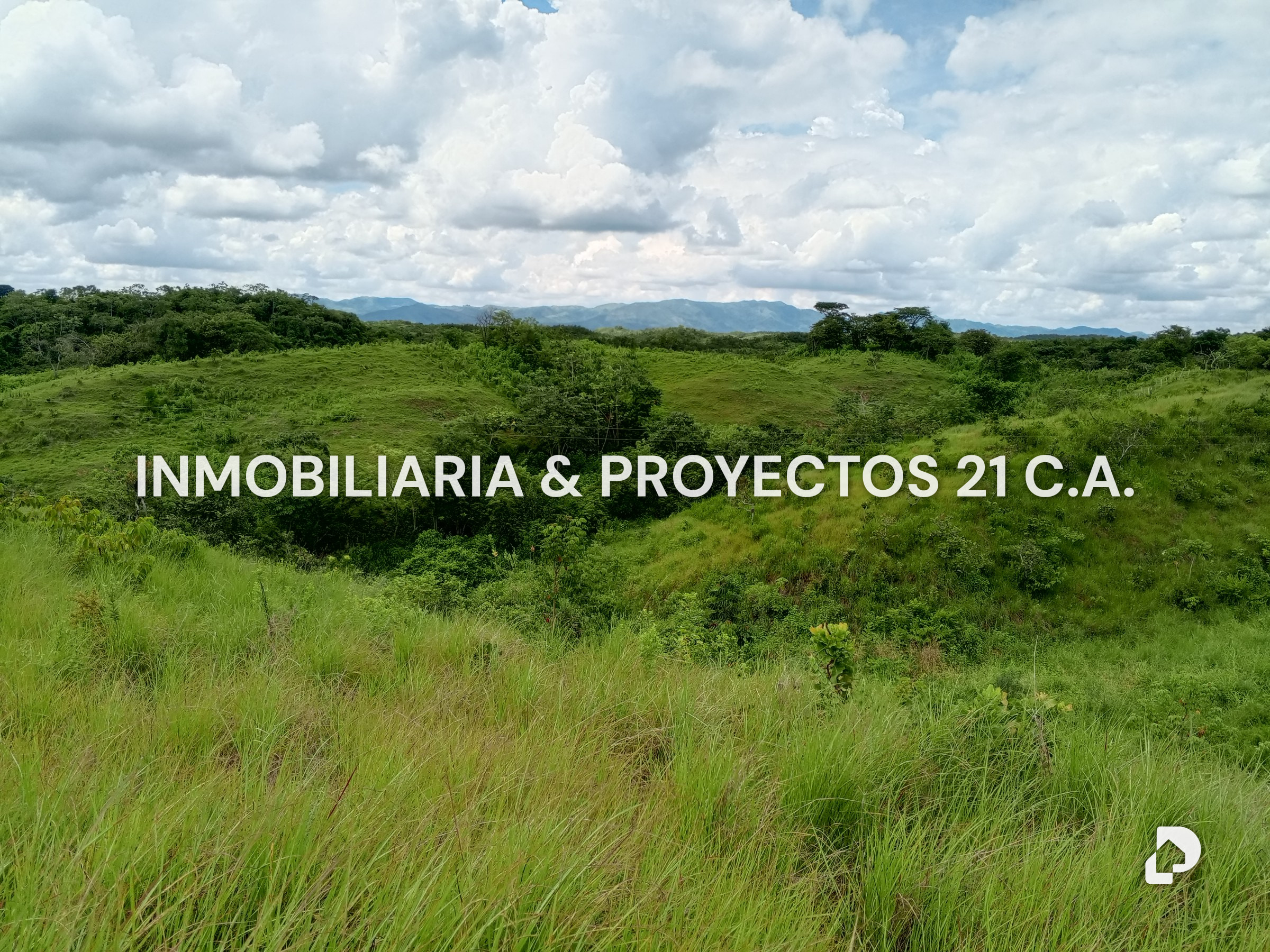 Finca en Los Monos – 4