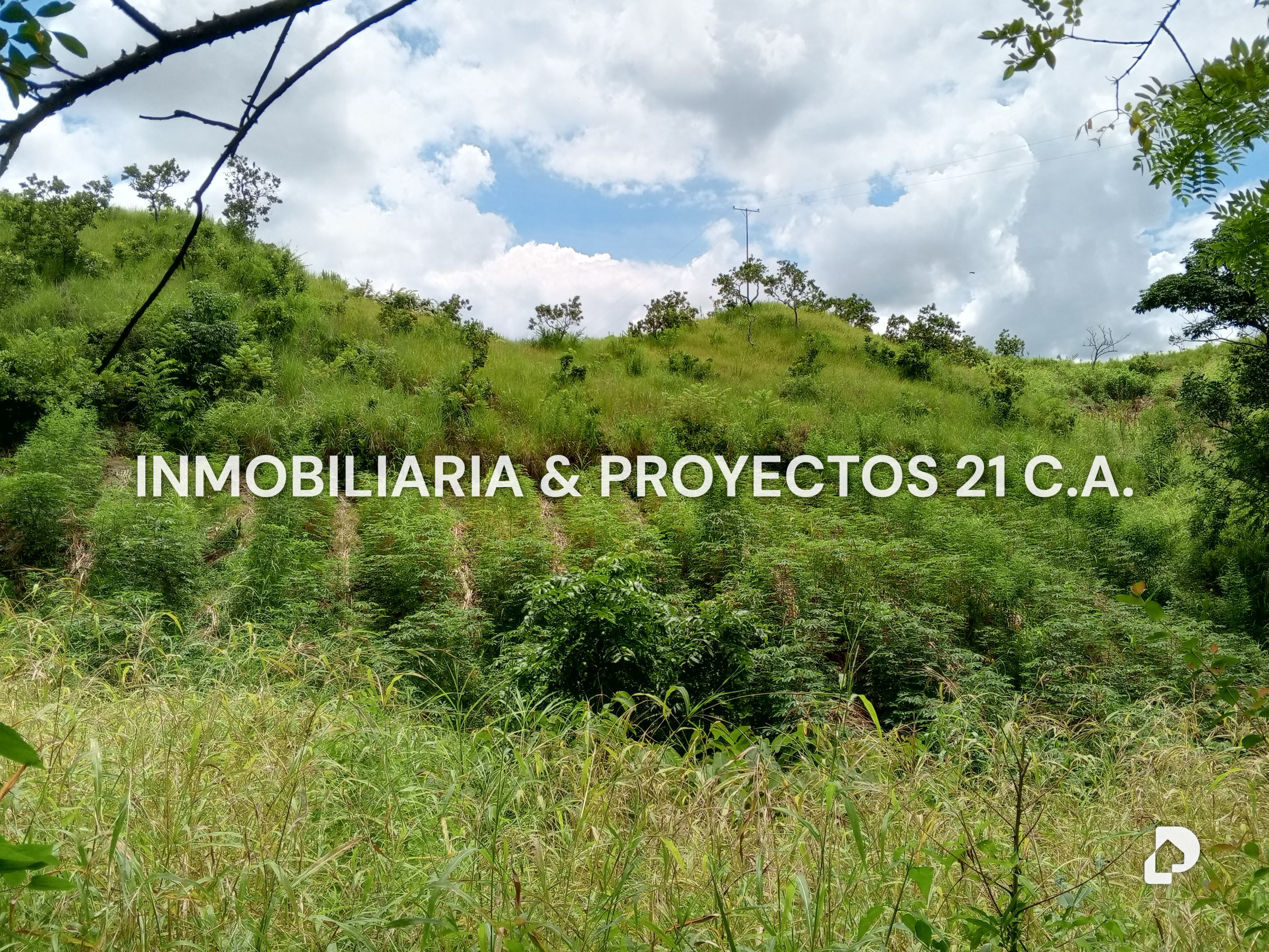 Finca en Los Monos – 1