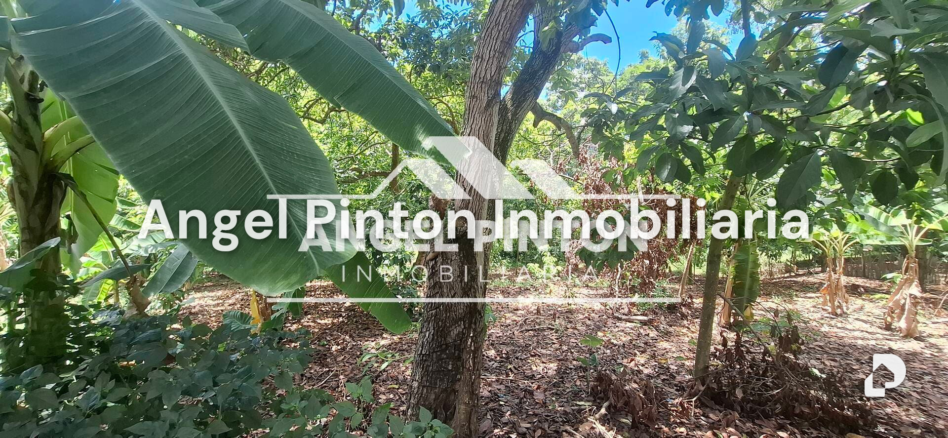 Finca en Maracaibo – 8