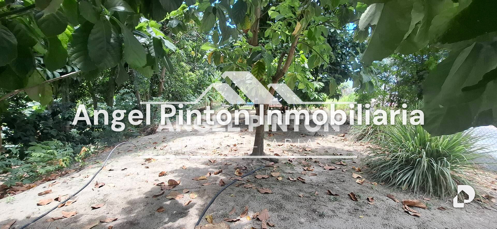 Finca en Maracaibo – 5