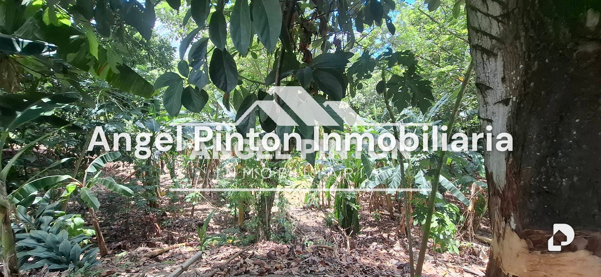 Finca en Maracaibo – 9