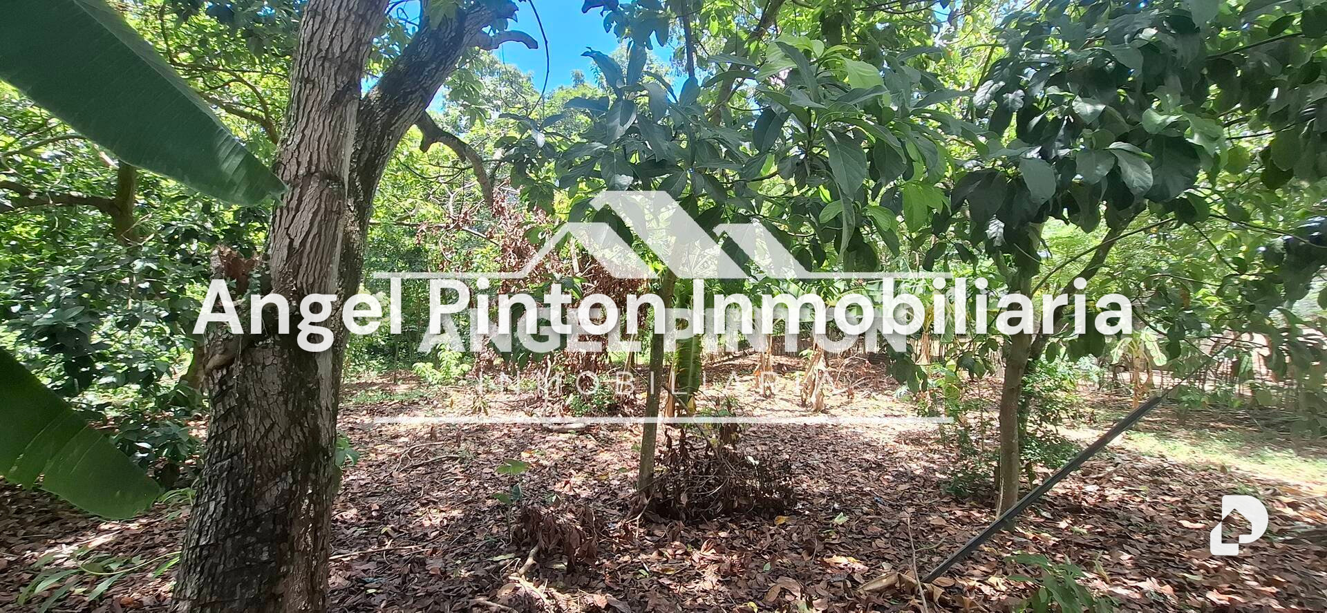 Finca en Maracaibo – 7