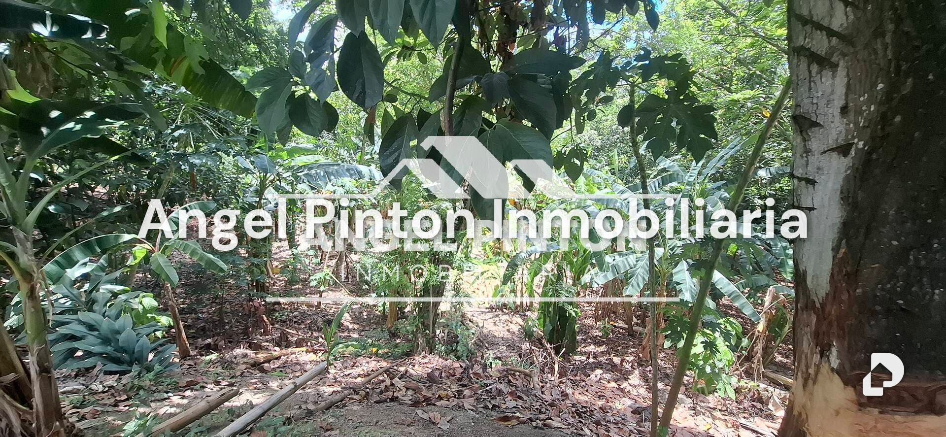 Finca en Maracaibo – 6