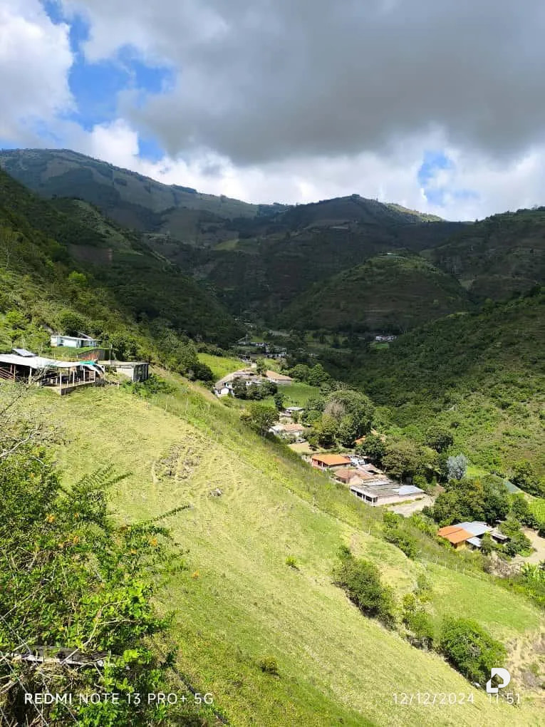 Finca en Mesa de Adrián, Bailadores – 11