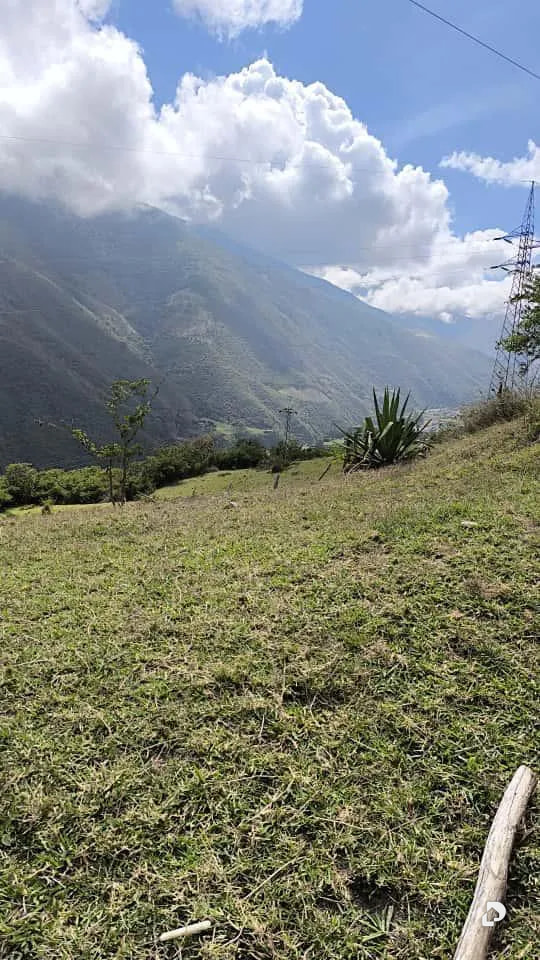 Finca en Mesa de Adrián, Bailadores – 25