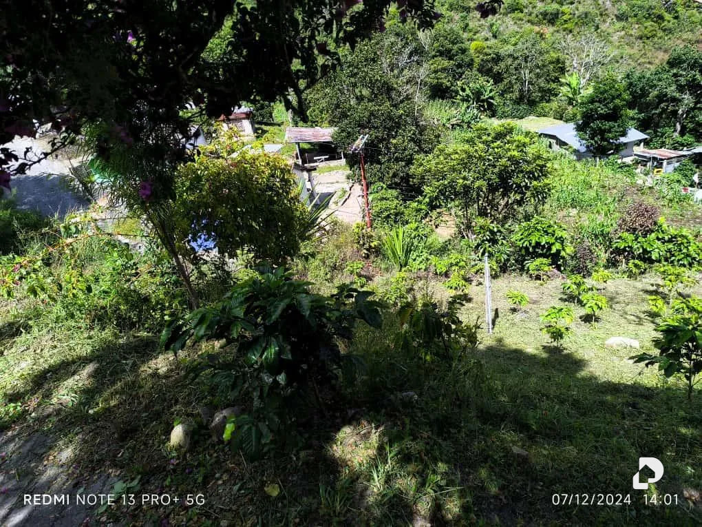 Finca en Mesa de Adrián, Bailadores – 30