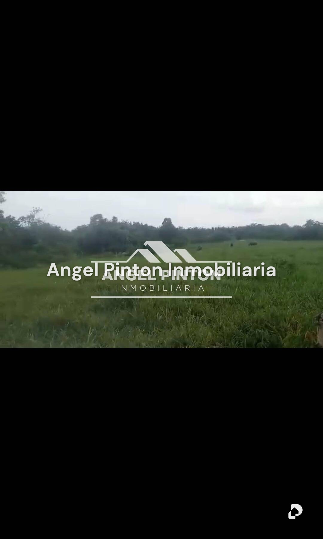 Finca en Rio Negro, Machiques – 10