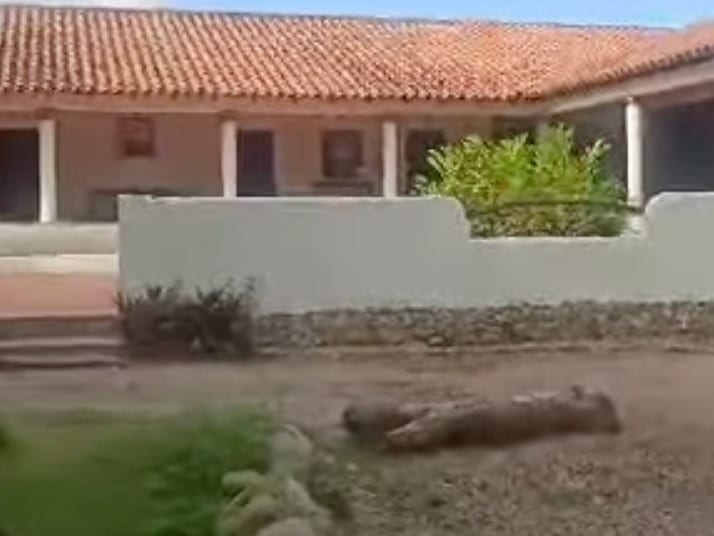 Land in Lagunillas - 1