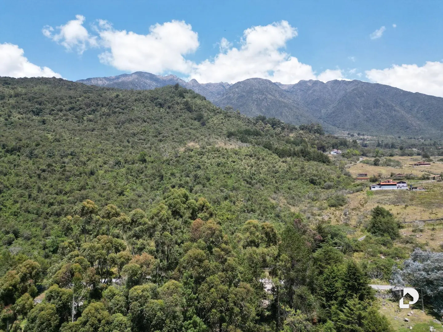 Finca en La Caña, vía La Culata, Gonzalo Picón Febres – 7