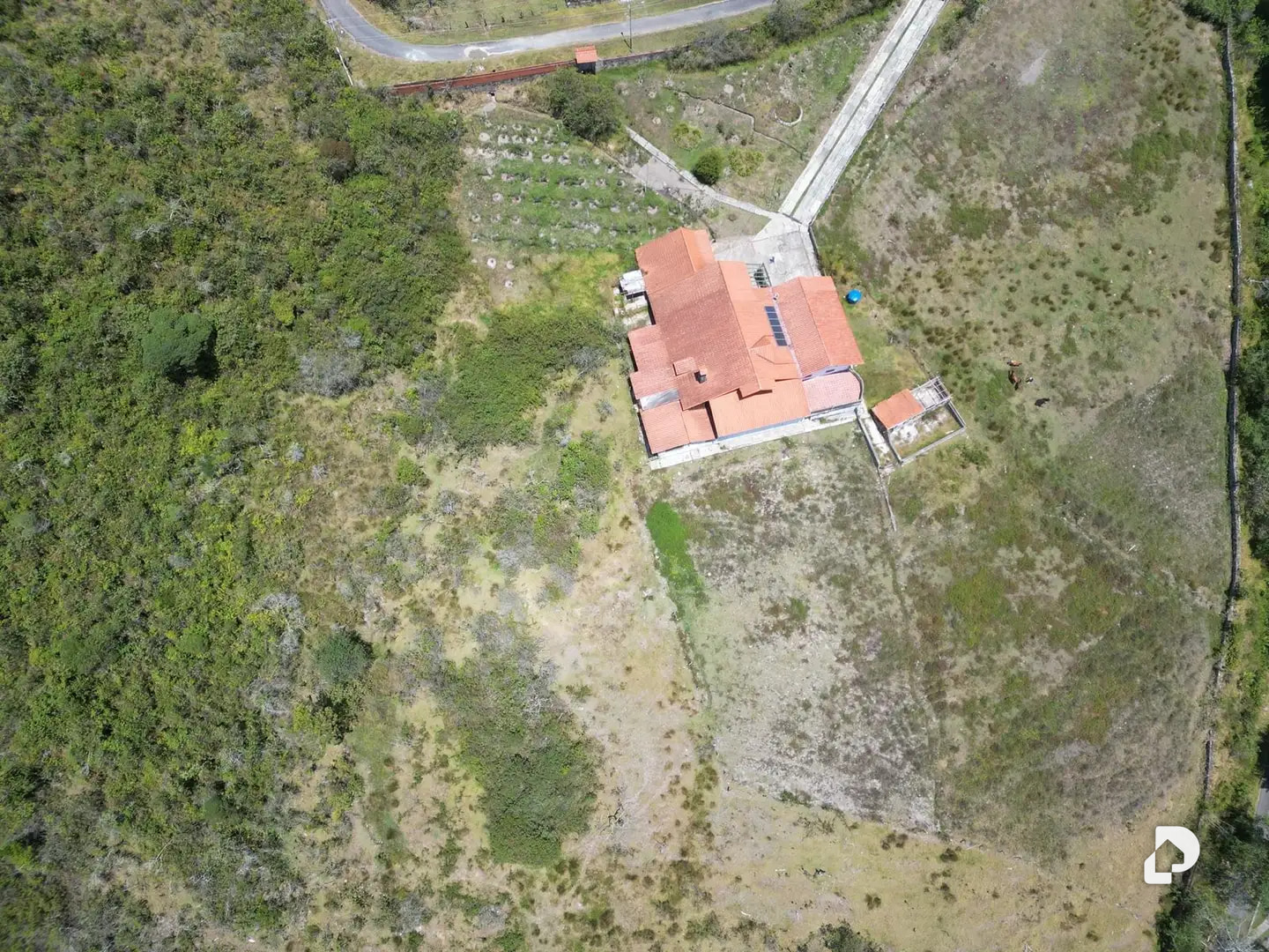 Finca en La Caña, vía La Culata, Gonzalo Picón Febres – 6