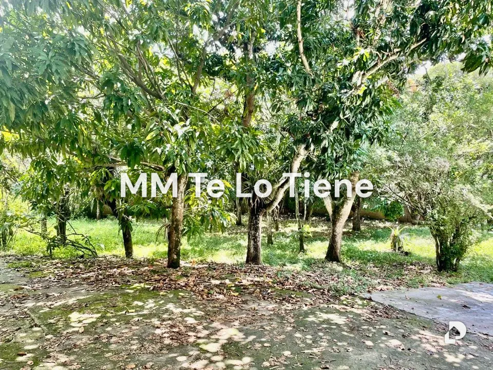 Terreno en Los Chorros, Caracas – 5