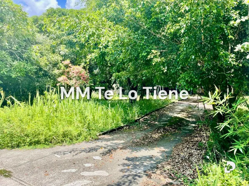 Terreno en Los Chorros, Caracas – 14