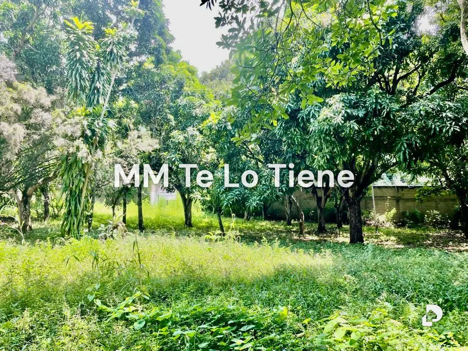 Terreno en Los Chorros, Caracas – 1