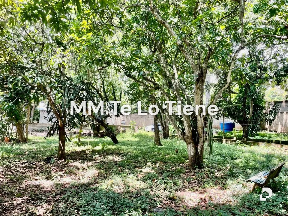 Terreno en Los Chorros, Caracas – 8