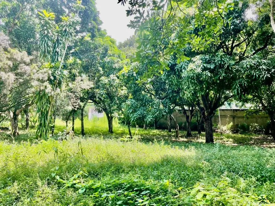 Terreno en Los Chorros, Caracas - 1