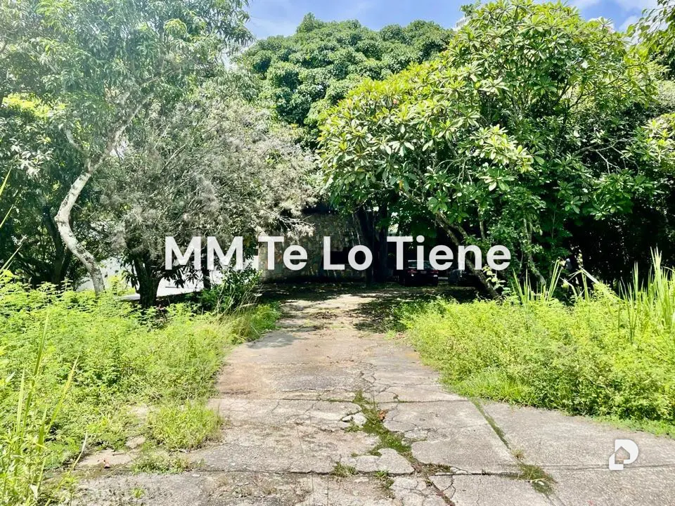 Terreno en Los Chorros, Caracas – 10