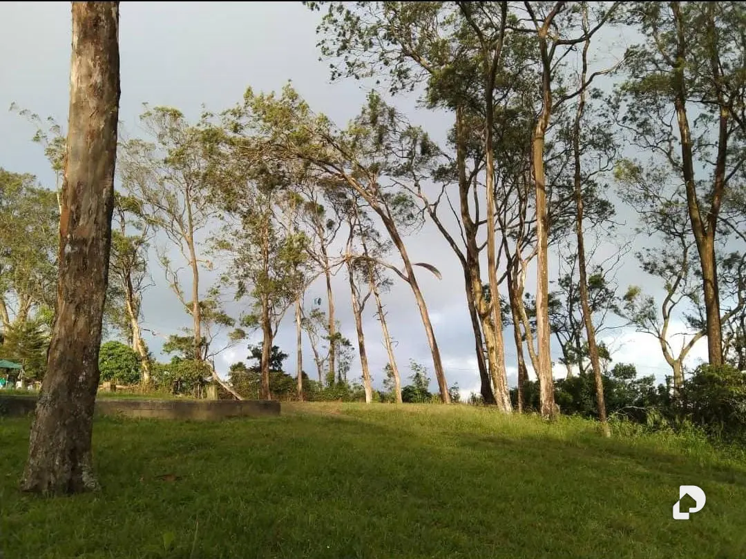 Terreno en Caracas – 7