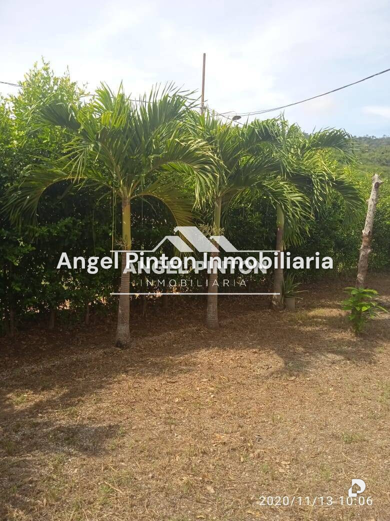 Casa en Vía Principal, Yaritagua – 6