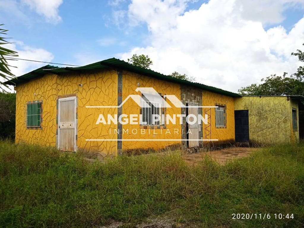 House in Yaritagua - 1