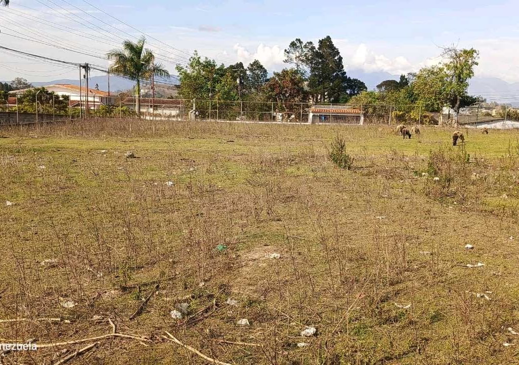 Terreno en Las Polonias Nuevas, Altos Mirandinos - 1