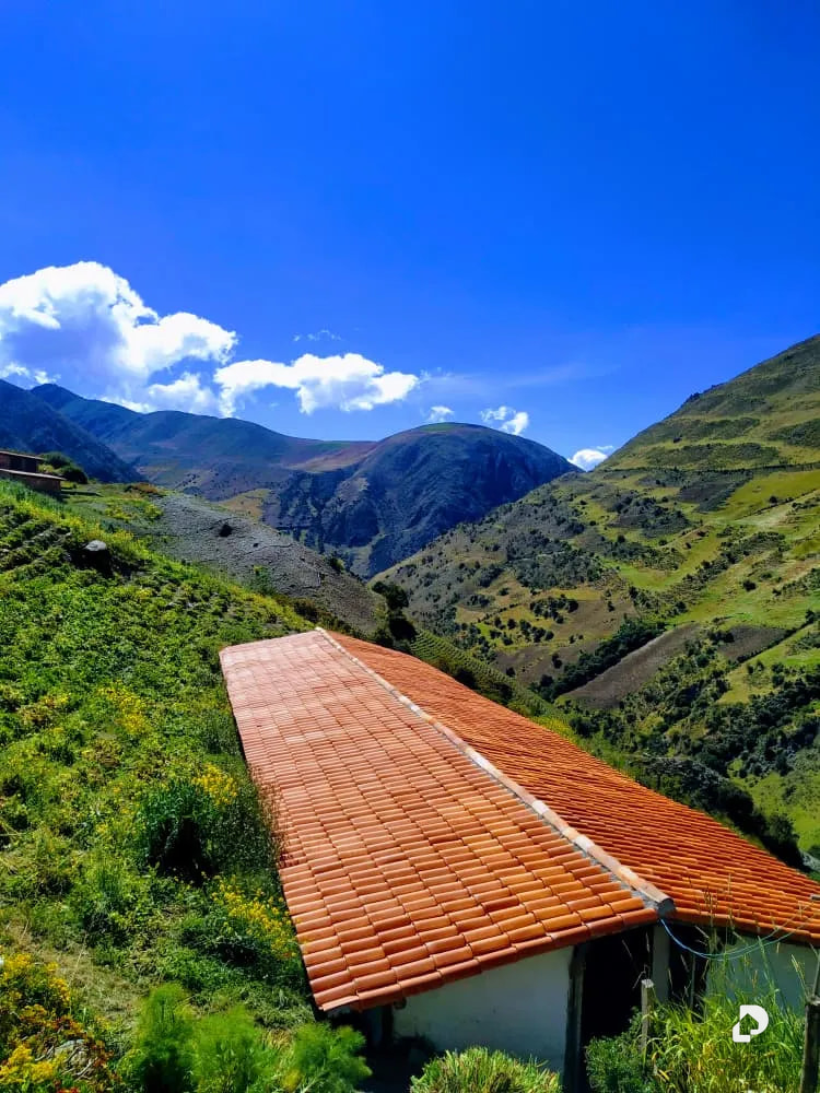 Finca en Micarache, Gavidia – 25