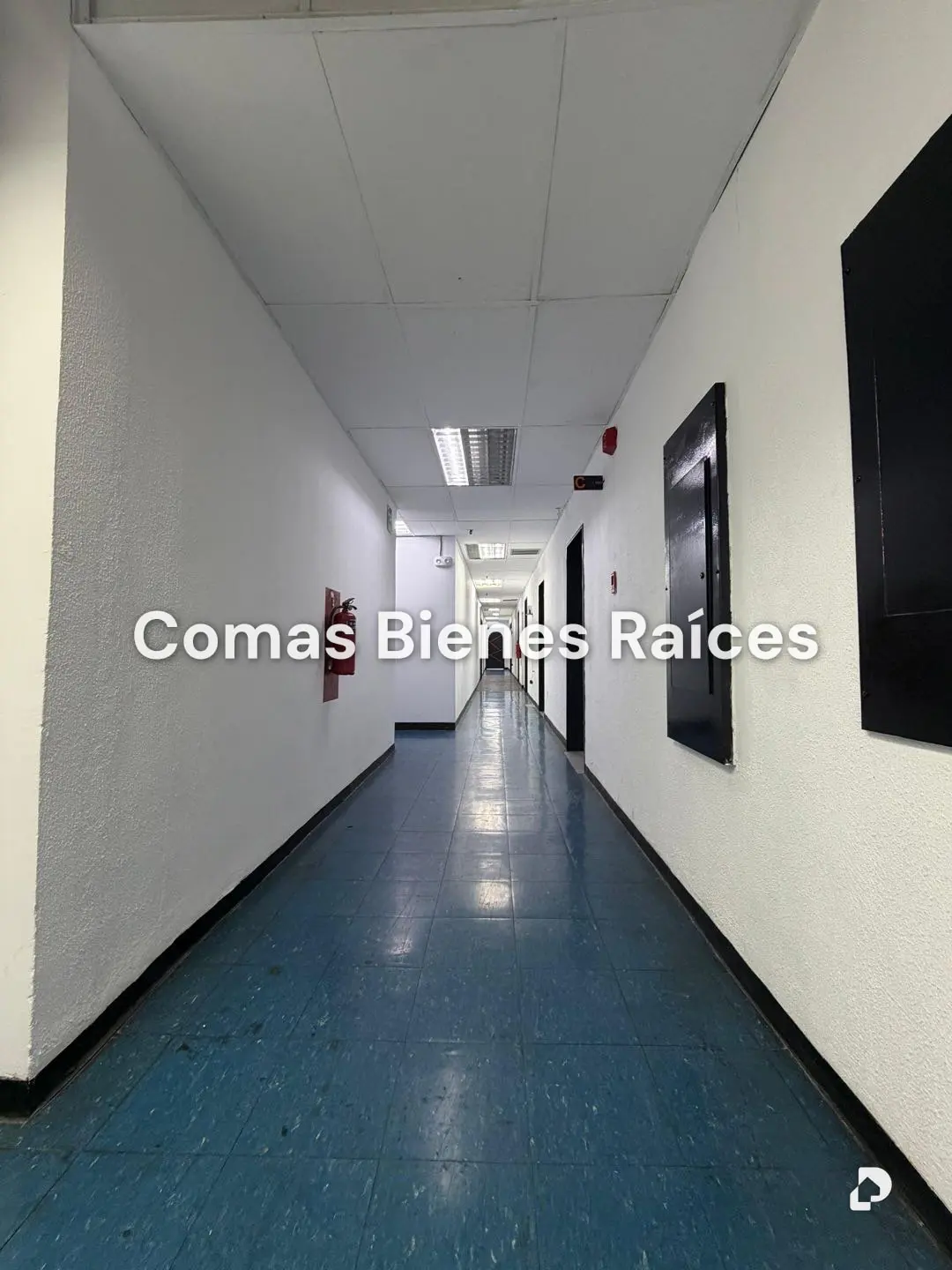 Local comercial en Los Ruices, Caracas – 3