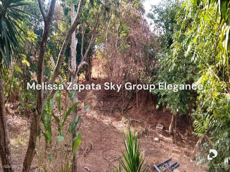 Finca en Barquisimeto – 4