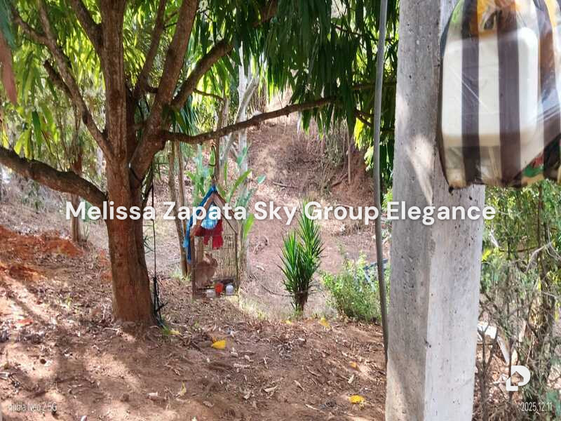 Finca en Barquisimeto – 9