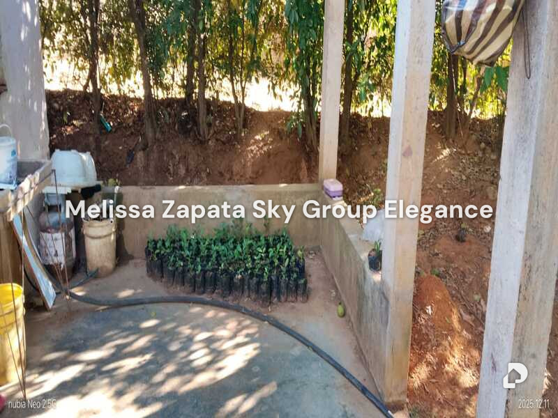 Finca en Barquisimeto – 6