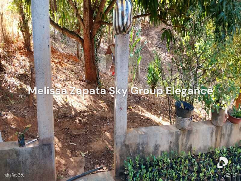Finca en Barquisimeto – 7