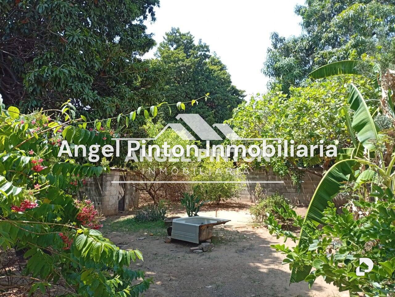 Local comercial en El Silencio, Maracaibo – 8