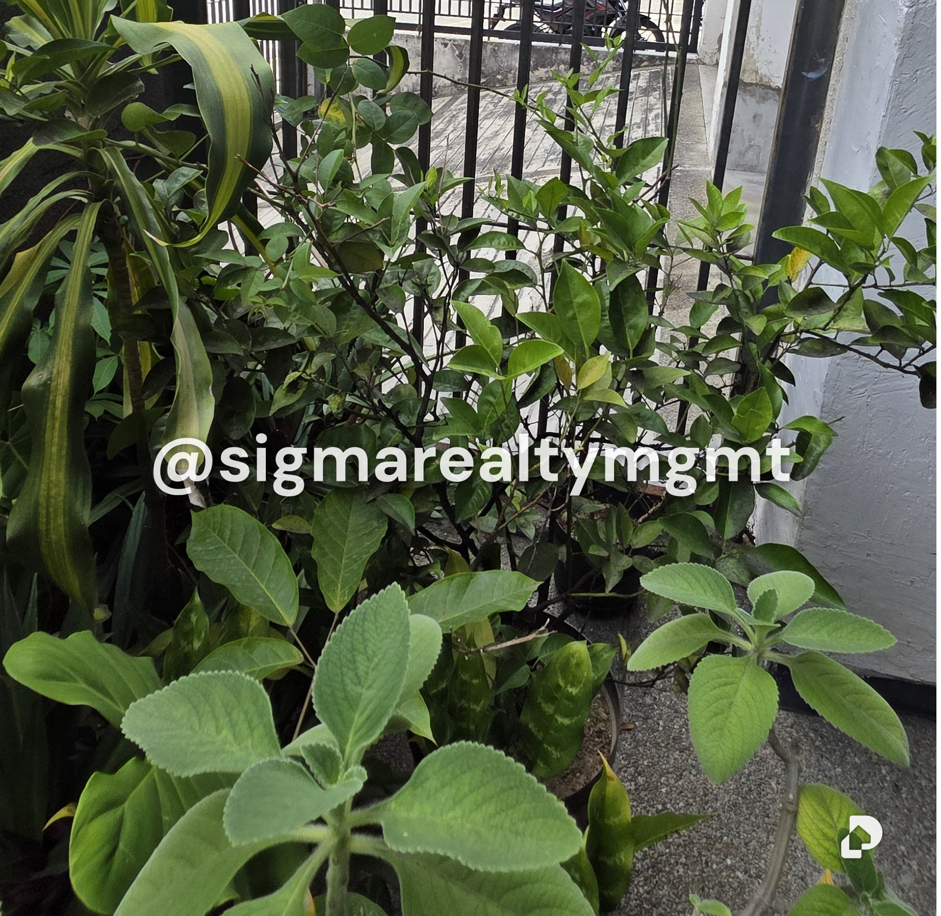 Apartamento en San Bernardino, Caracas – 9