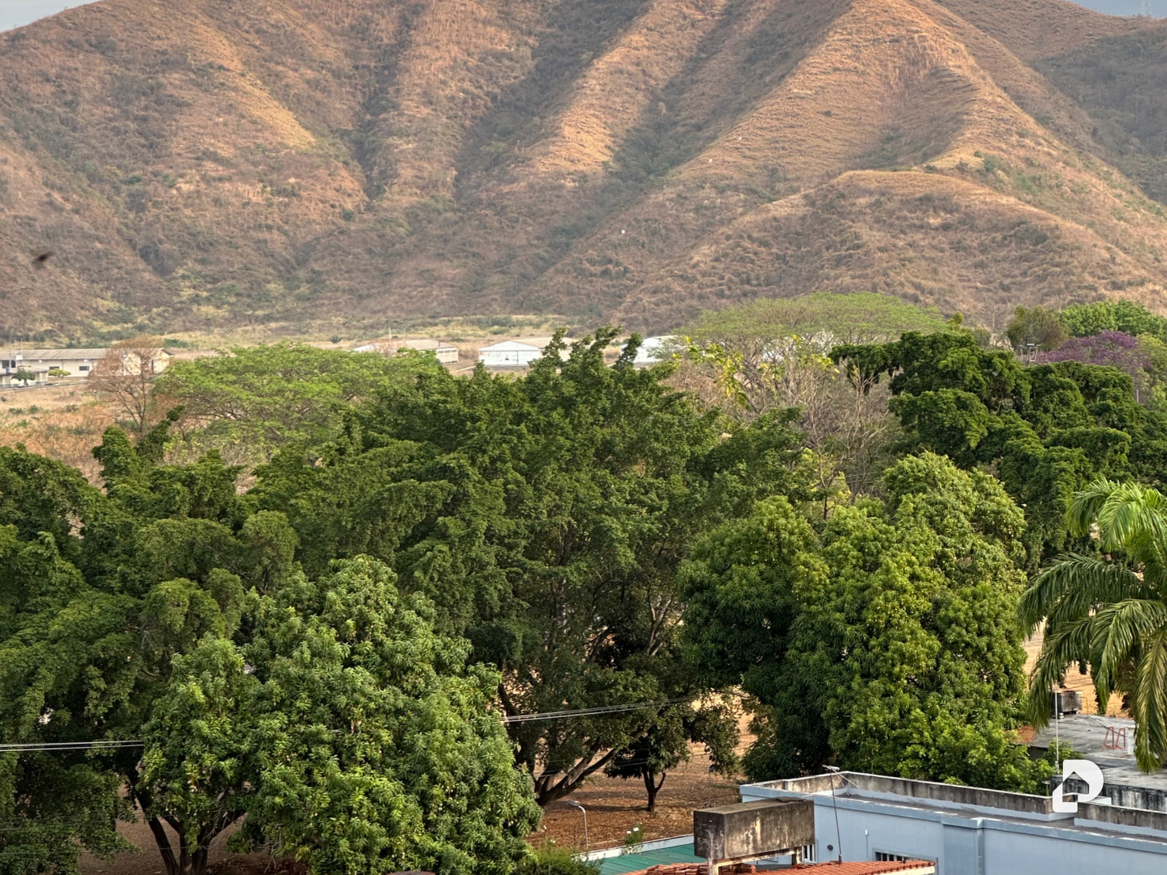 Apartamento en La Soledad – 4