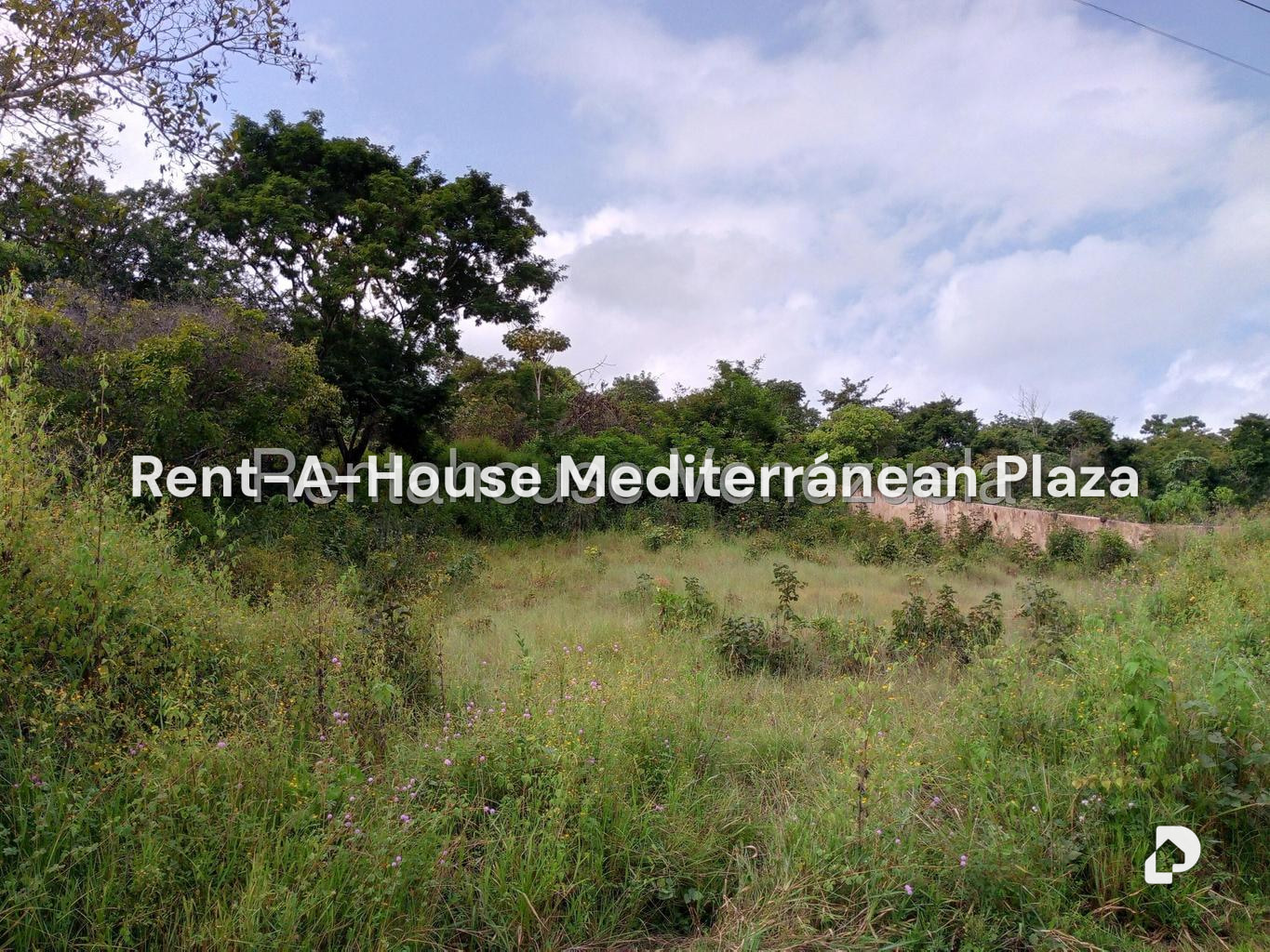 Terreno en Safari Carabobo, Libertador – 6