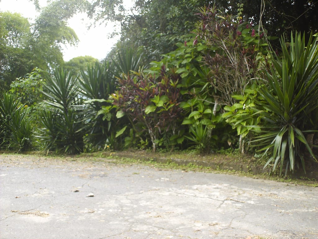 Terreno en Oripoto, Caracas - 1