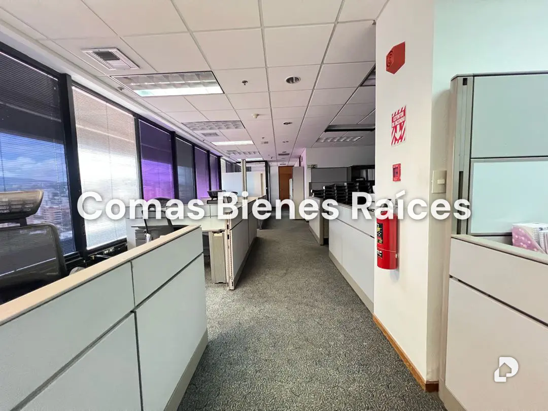 Office in Chacao, Caracas – 19