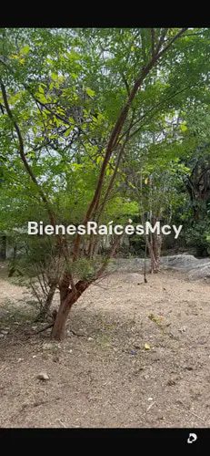 Terreno en Maracay – 4