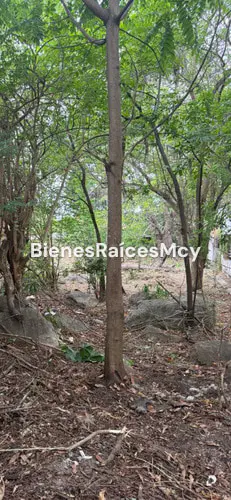 Terreno en Maracay – 3