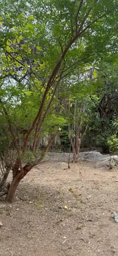 Terreno en Maracay - 1
