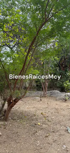 Terreno en Maracay – 1